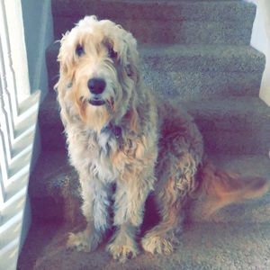 Meet your Posher, Jade